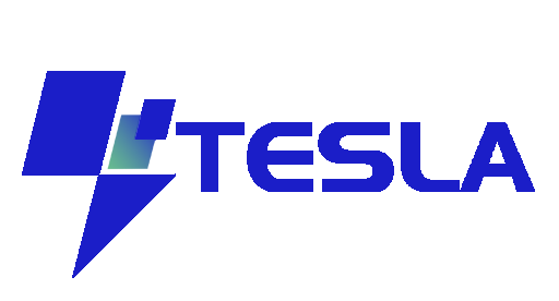 tesla-iq.com favicon
